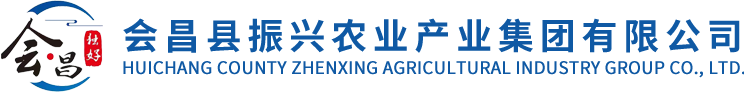 首页