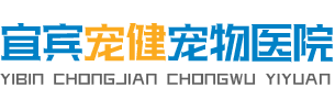 宜宾宠物医院