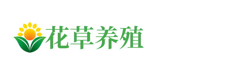 花圃网