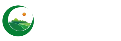 红豆杉树苗