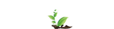 好好玩