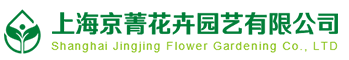 上海绿植租赁