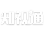 知视通