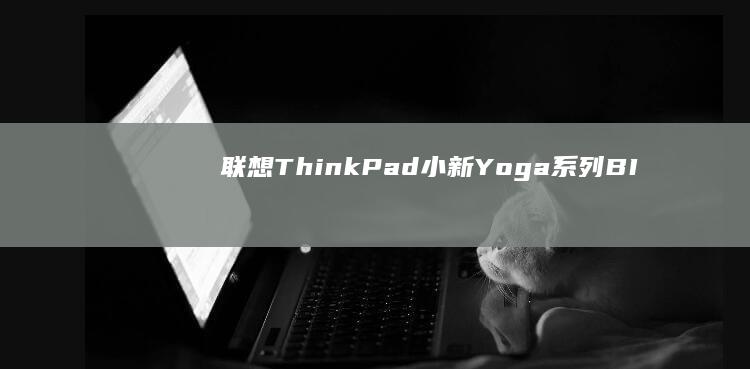 联想ThinkPad小新Yoga系列BI