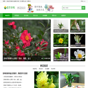 花圃网