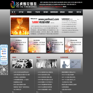 烟花燃放公司