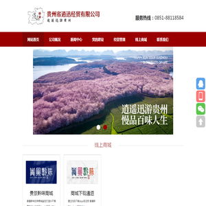 贵州省逍迅经贸有限公司