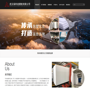 武汉保利龙塑胶有限公司