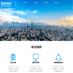 蓝思网络技术有限公司