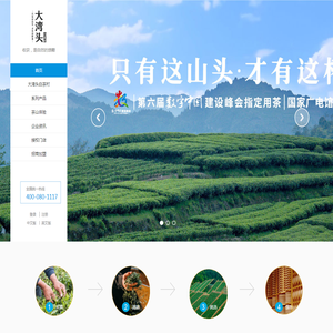 福建福鼎大湾头茶业有限公司