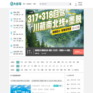 大自驾网