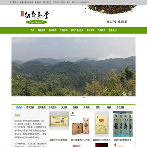 纳新茶业