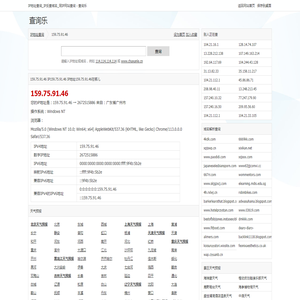 IP地址查询